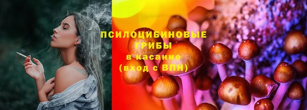 прущие крисы Нефтекумск