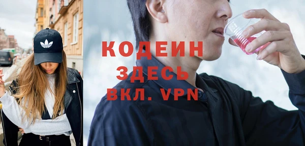 прущие грибы Новозыбков