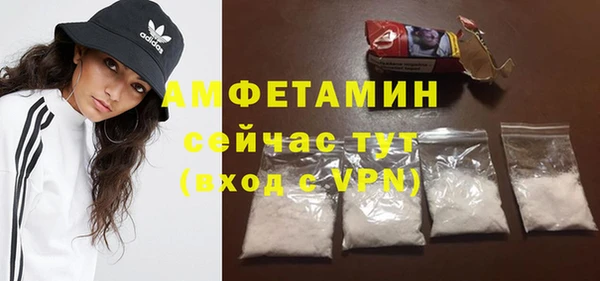 прущие грибы Новозыбков