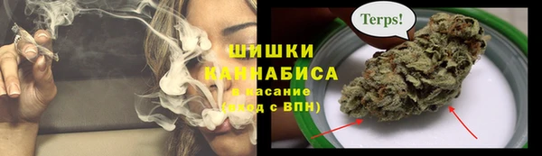 прущие крисы Нефтекумск