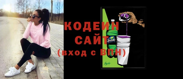 прущие грибы Новозыбков
