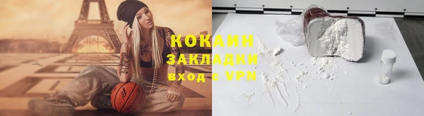 прущие грибы Новозыбков