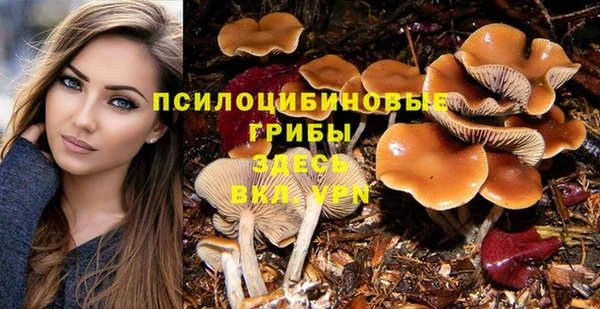 прущие крисы Нефтекумск