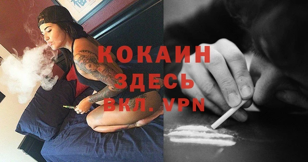 прущие крисы Нефтекумск