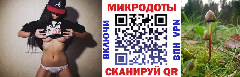 Псилоцибиновые грибы GOLDEN TEACHER Отрадный