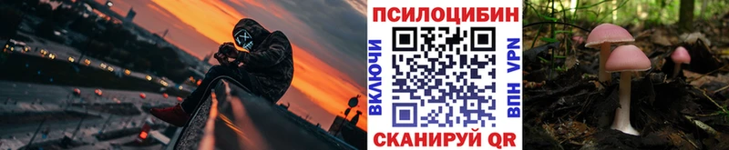 Псилоцибиновые грибы GOLDEN TEACHER  блэк спрут ONION  Отрадный  купить  